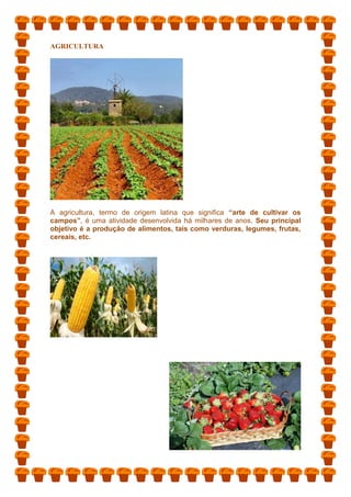 AGRICULTURA
A agricultura, termo de origem latina que significa “arte de cultivar os
campos”, é uma atividade desenvolvida há milhares de anos. Seu principal
objetivo é a produção de alimentos, tais como verduras, legumes, frutas,
cereais, etc.
 