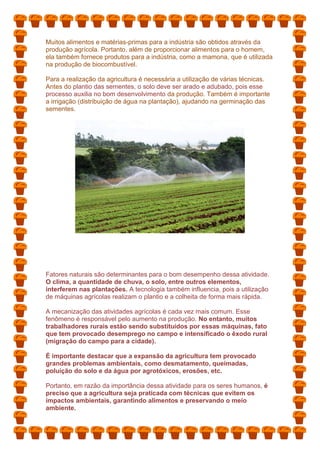 Muitos alimentos e matérias-primas para a indústria são obtidos através da
produção agrícola. Portanto, além de proporcionar alimentos para o homem,
ela também fornece produtos para a indústria, como a mamona, que é utilizada
na produção de biocombustível.
Para a realização da agricultura é necessária a utilização de várias técnicas.
Antes do plantio das sementes, o solo deve ser arado e adubado, pois esse
processo auxilia no bom desenvolvimento da produção. Também é importante
a irrigação (distribuição de água na plantação), ajudando na germinação das
sementes.
Fatores naturais são determinantes para o bom desempenho dessa atividade.
O clima, a quantidade de chuva, o solo, entre outros elementos,
interferem nas plantações. A tecnologia também influencia, pois a utilização
de máquinas agrícolas realizam o plantio e a colheita de forma mais rápida.
A mecanização das atividades agrícolas é cada vez mais comum. Esse
fenômeno é responsável pelo aumento na produção. No entanto, muitos
trabalhadores rurais estão sendo substituídos por essas máquinas, fato
que tem provocado desemprego no campo e intensificado o êxodo rural
(migração do campo para a cidade).
É importante destacar que a expansão da agricultura tem provocado
grandes problemas ambientais, como desmatamento, queimadas,
poluição do solo e da água por agrotóxicos, erosões, etc.
Portanto, em razão da importância dessa atividade para os seres humanos, é
preciso que a agricultura seja praticada com técnicas que evitem os
impactos ambientais, garantindo alimentos e preservando o meio
ambiente.
 