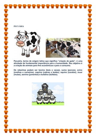 PECUÁRIA
Pecuária, termo de origem latina que significa “criação de gado”, é uma
atividade de fundamental importância para a humanidade. Seu objetivo é
a criação de animais para fins econômicos e para o consumo.
Os rebanhos podem ser bovino (bois e vacas), suíno (porcos), ovino
(ovelhas e carneiros), caprino (cabras e bodes), equino (cavalos), muar
(mulas), asinino (jumentos) e bufalino (búfalos).
 