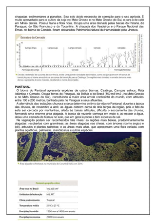 chapadas sedimentares a planaltos. Seu solo ácido necessita de correção para o uso agrícola. É
muito aproveitado para o cultivo da soja no Mato Grosso e no Mato Grosso do Sul, e para o de café
em Minas Gerais. Possui fauna e flora ricas. Ocupa uma área drenada pelas bacias do Paraná, do
Paraguai, do São Francisco e do Tocantins. A chapada dos Veadeiros e o Parque Nacional das
Emas, no bioma do Cerrado, foram declarados Patrimônio Natural da Humanidade pela Unesco.
PANTANAL
O bioma do Pantanal apresenta espécies de outros biomas: Caatinga, Campos sulinos, Mata
Atlântica e Cerrado. Ocupa terras do Paraguai, da Bolívia e do Brasil (150 mil km2 , no Mato Grosso
e no Mato Grosso do Sul), constituindo a maior área úmida continental do mundo, com altitudes
entre 100 e 200 metros, banhada pelo rio Paraguai e seus afluentes.
A alternância das estações chuvosa e seca determina o ritmo da vida no Pantanal: durante a época
das chuvas, de novembro a abril, as águas cobrem cerca de dois terços da região, pois o fato de
esta ser cercada por montanhas, aliado às baixas altitudes, dificulta o escoamento das chuvas,
formando uma enorme área alagada. A época da vazante começa em maio e, ao escoar a água,
deixa uma camada de húmus no solo, que em geral é pobre e tem excesso de sal.
Na vegetação podem ser reconhecidos três níveis: as regiões mais baixas, predominantemente
alagadas, recobertas com gramíneas; as áreas alagadas nas cheias, com árvores (como angico e
ipê), arbustos e plantas rasteiras; e as áreas mais altas, que apresentam uma flora variada, com
plantas aquáticas, palmeiras, mandacarus e outras espécies.
 