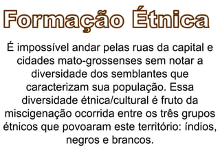 É impossível andar pelas ruas da capital e
cidades mato-grossenses sem notar a
diversidade dos semblantes que
caracterizam sua população. Essa
diversidade étnica/cultural é fruto da
miscigenação ocorrida entre os três grupos
étnicos que povoaram este território: índios,
negros e brancos.
 