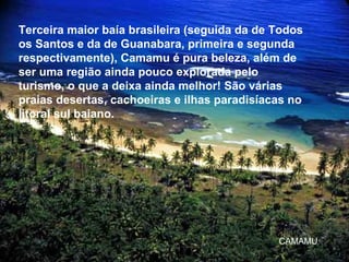Terceira maior baía brasileira (seguida da de Todos os Santos e da de Guanabara, primeira e segunda respectivamente), Camamu é pura beleza, além de ser uma região ainda pouco explorada pelo turismo, o que a deixa ainda melhor! São várias praias desertas, cachoeiras e ilhas paradisíacas no litoral sul baiano.  CAMAMU 