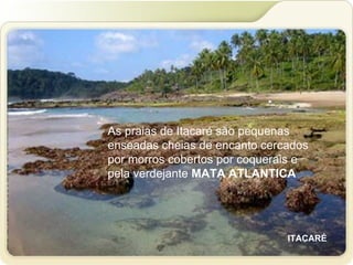 As praias de Itacaré são pequenas enseadas cheias de encanto cercados por morros cobertos por coquerais e pela verdejante  MATA ATLANTICA ITACARÉ 