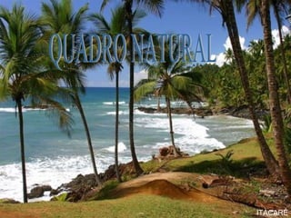 ITACARÉ QUADRO NATURAL 