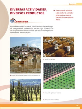 Comencemos
En su viaje hacia Coatzacoalcos, Toñita describió diferentes regio-
nes y los productos característicos de cada lugar. Comenta con
tus compañeros la o las actividades que realizaban las personas
de los lugares por donde pasó.
ΕΕ Producción agrícola, en Veracruz.
ΕΕ Producción pecuaria.
ΕΕ Producción pesquera en el lago de, Pátzcuaro, Michoacán.
ΕΕ Producción forestal en Alaska.
DIVERSAS ACTIVIDADES,
DIVERSOS PRODUCTOS
❖❖ Con el estudio de esta lección
podrás localizar las actividades
agropecuarias, pesqueras y
forestales que se desarrollan en
México.
117
Lección 1
AB-GEO B4_114-147.indd 117 12/12/11 10:21
 