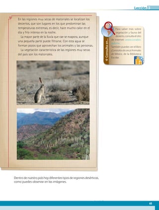 Lección 3
En las regiones muy secas de matorrales se localizan los
desiertos, que son lugares en los que predominan las
temperaturas extremas, es decir, hace mucho calor en el
día y frío intenso en la noche.
La mayor parte de la lluvia que cae se evapora, aunque
una pequeña parte puede filtrarse. Con esta agua se
forman pozos que aprovechan los animales y las personas.
La vegetación característica de las regiones muy secas
del país son los matorrales.
Dentro de nuestro país hay diferentes tipos de regiones desérticas,
como puedes observar en las imágenes.
✥Consultaen...
Para saber más sobre
vegetación y fauna del
desierto,consultaelsitio
de internet: www.conabio.
gob.mx.
También puedes ver el libro
¡Conócelosdecerca!Animales
de México, de la Biblioteca
Escolar.
65
Lección 3
AB-GEO B2_p.42-83.indd 65 12/12/11 10:53
 