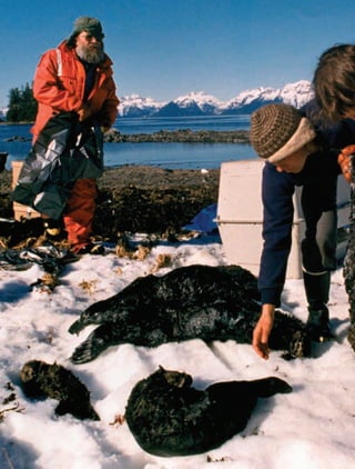 AB-GEO-5-P-150-187.indd 146 17/02/12 11:23
 