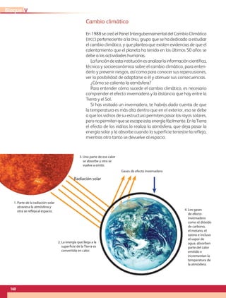 Cambio climático
En1988secreóelPanelIntergubernamentaldelCambioClimático
(ipcc) perteneciente a la onu, grupo que se ha dedicado a estudiar
el cambio climático, y que plantea que existen evidencias de que el
calentamiento que el planeta ha tenido en los últimos 50 años se
debe a las actividades humanas.
Lafuncióndeestainstituciónesanalizarlainformacióncientífica,
técnica y socioeconómica sobre el cambio climático, para enten-
derlo y prevenir riesgos, así como para conocer sus repercusiones,
ver la posibilidad de adaptarse a él y atenuar sus consecuencias.
¿Cómo se calienta la atmósfera?
Para entender cómo sucede el cambio climático, es necesario
comprender el efecto invernadero y la distancia que hay entre la
Tierra y el Sol.
Si has visitado un invernadero, te habrás dado cuenta de que
la temperatura es más alta dentro que en el exterior, eso se debe
a que los vidrios de su estructura permiten pasar los rayos solares,
peronopermitenqueseescapeestaenergíafácilmente.EnlaTierra
el efecto de los vidrios lo realiza la atmósfera, que deja pasar la
energía solar y la absorbe cuando la superficie terrestre la refleja,
mientras otro tanto se devuelve al espacio.
Gases de efecto invernadero
1. Parte de la radiación solar
atraviesa la atmósfera y
otra se refleja al espacio.
2. La energía que llega a la
superficie de la Tierra es
convertida en calor.
3. Una parte de ese calor
se absorbe y otra se
vuelve a emitir.
4. Los gases
de efecto
invernadero
como el dióxido
de carbono,
el metano, el
ozono e incluso
el vapor de
agua, absorben
parte del calor
emitido e
incrementan la
temperatura de
la atmósfera.
Radiación solar
160
VBloque
AB-GEO-5-P-150-187.indd 160 17/02/12 11:24
 