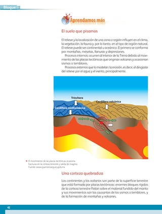 Aprendamos más
Una corteza quebradiza
Los continentes y los océanos son parte de la superficie terrestre
que está formada por placas tectónicas: enormes bloques rígidos
de la corteza terrestre flotan sobre el material fundido del manto
y sus movimientos son los causantes de los sismos o temblores, y
de la formación de montañas y volcanes.
El suelo que pisamos
El relieve y la localización de una zona o región influyen en el clima,
la vegetación, la fauna y, por lo tanto, en el tipo de región natural.
El relieve puede ser continental u oceánico. El primero se conforma
por montañas, mesetas, llanuras y depresiones.
Procesos internos: ocurren al interior de la Tierra debido al movi-
miento de las placas tectónicas que originan volcanes y ocasionan
sismos o temblores.
Procesosexternosquelomodelan:laerosión,esdecir,eldesgaste
del relieve por el agua y el viento, principalmente.
Cordillera volcánica
Cordillera medioceánica
Trinchera
ΕΕ El movimiento de las placas tectónicas ocasiona
fracturas en la corteza terrestre y salida de magma.
Fuente: www.guerreroseguro.gob.mx
42
IIBloque
AB-GEO-5-P-038-073.indd 42 17/02/12 10:56
 