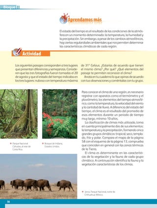 Actividad
ΕΕ Janos, Parque Nacional, norte de
Chihuahua, México.
ΕΕ Parque Nacional
Cahuitas, al este de
Costa Rica.
ΕΕ Bosque de Indiana,
Estados Unidos.
Aprendamos más
El estado del tiempo es el resultado de las condiciones de la atmós-
fera en un momento determinado: la temperatura, la humedad y
laprecipitación.Sinembargo,apesardeloscambiosatmosféricos,
hayciertasregularidadesambientalesquenospermitendeterminar
las características climáticas de cada región.
Lossiguientespaisajescorrespondenatreslugares
quepresentandiferenciasysemejanzas.Conside-
ren que las tres fotografías fueron tomadas el 20
de agosto y que el estado del tiempo indicaba en
los tres lugares: nuboso con temperatura máxima
de 31º Celsius. ¿Estarías de acuerdo que tienen
el mismo clima? ¿Por qué? ¿Qué elementos del
paisaje te permiten reconocer el clima?
Anotaentucuadernoloqueopinasdeacuerdo
con tus observaciones y coméntalas con tu grupo.
Para conocer el clima de una región, es necesario
registrar con aparatos como el termómetro y el
pluviómetro, los elementos del tiempo atmosfé-
rico, como la temperatura, la velocidad del viento
y la cantidad de lluvia. A diferencia del estado del
tiempo, el clima es el resultado del promedio de
esos elementos durante un periodo de tiempo
muy largo, mínimo 10 años.
La clasificación de climas más utilizada, toma
en cuenta principalmente dos de sus elementos:
latemperaturaylaprecipitación,formandocinco
grandesgruposclimáticos:tropical,seco,templa-
do, frío y polar. Compara el mapa de la página
58 con el esquema de la página 13, comprueba
que coinciden en general con las zonas térmicas
de la Tierra.
El clima es determinante en las característi-
cas de la vegetación y la fauna de cada grupo
climático. A continuación identifica la fauna y la
vegetación características de los climas.
56
IIBloque
AB-GEO-5-P-038-073.indd 56 17/02/12 10:57
 