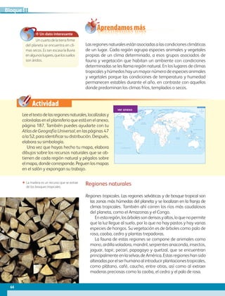 Actividad
60˚90˚120˚150˚ 30˚ 60˚ 90˚ 120˚ 150˚ 180˚30˚0˚
60˚90˚120˚150˚ 30˚ 60˚ 90˚ 120˚ 150˚ 180˚180˚ 30˚0˚
30˚
30˚
45˚
45˚
15˚
0˚
15˚
60˚
30˚
30˚
45˚
15˚
0˚
15˚
60˚
75˚ 75˚
60˚
Trópico de Cáncer
Trópico de Capricornio
Ecuador
MeridianodeGreenwich
OCÉANO PACÍFICO
OCÉANO GLACIAL ÁRTICO
OCÉANO
ATLÁNTICO
OCÉANO
ÍNDICO
OCÉANO PACÍFICO
Mar del Sur
de China
Mar de
Okhotsk
Mar
Mediterráneo
Golfo de
México
Golfo de
Alaska
Mar de Siberia
Mar Laptev
Mar Caribe
Mar de Bering
Mar de Beaufort
Mar de BarentsMar de
Noruega
Bahía
Baffin
Mar del
Labrador
Mar de
Arabia
Bahía de
Hudson
Mar
de Coral
Mar de
Tasmania
Planisferio
ΕΕ La madera es un recurso que se extrae
de los bosques tropicales.
ver anexo
✥ Un dato interesante
Uncuartodelatierrafirme
del planeta se encuentra en cli-
mas secos. Es tan escasa la lluvia
enalgunoslugares,quelossuelos
son áridos.
Aprendamos más
Lasregionesnaturalesestánasociadasalascondicionesclimáticas
de un lugar. Cada región agrupa especies animales y vegetales
propias de un clima determinado, a esos grupos asociados de
fauna y vegetación que habitan un ambiente con condiciones
determinadas se les llama región natural. En los lugares de climas
tropicales y húmedos hay un mayor número de especies animales
y vegetales porque las condiciones de temperatura y humedad
permanecen estables durante el año, en contraste con aquellos
donde predominan los climas fríos, templados o secos.
Leeeltextodelasregionesnaturales,localízalasy
coloréalas en el planisferio que está en el anexo,
página 187. También puedes ayudarte con tu
Atlas de Geografía Universal, en las páginas 47
a la 52, para identificar su distribución. Después,
elabora su simbología.
Una vez que hayas hecho tu mapa, elabora
dibujos sobre los recursos naturales que se ob-
tienen de cada región natural y pégalos sobre
el mapa, donde corresponde. Peguen los mapas
en el salón y expongan su trabajo.
Regiones naturales
Regiones tropicales. Las regiones selváticas y de bosque tropical son
las zonas más húmedas del planeta y se localizan en la franja de
climas tropicales. También ahí corren los ríos más caudalosos
del planeta, como el Amazonas y el Congo.
Enestaregión,losárbolessondensosyaltos,loquenopermite
que la luz llegue al suelo, por lo que no hay pastos y hay varias
especies de hongos. Su vegetación es de árboles como palo de
rosa, caoba, cedro y plantas trepadoras.
La fauna de estas regiones se compone de animales como
mono, ardilla voladora, mandril, serpientes anaconda, insectos,
jaguar, tapir, pecarí, papagayo y quetzal, que se encuentran
principalmente en la selvas de América. Estas regiones han sido
alteradasporelserhumanoalintroducirplantacionestropicales,
como plátano, café, caucho, entre otras, así como al extraer
maderas preciosas como la caoba, el cedro y el palo de rosa.
64
IIBloque
AB-GEO-5-P-038-073.indd 64 17/02/12 10:57
 