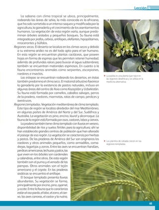 ΕΕ La jojoba es una planta que nace en
las regiones desérticas y se utiliza en la
medicina alternativa.
ΕΕ Los plantíos de cebada crecen en las
regiones templadas.
La sabana con clima tropical se ubica, principalmente,
rodeando las áreas de selva, la más conocida es la africana,
que ha sido sometida a un intenso saqueo y modificada por la
agricultura, la ganadería y el crecimiento de los asentamientos
humanos. La vegetación de esta región varía, aunque predo-
minan árboles aislados y pequeños bosques. Su fauna está
integradaporjirafas,cebras,antílopes,elefantes,hipopótamos,
rinocerontes y búfalos.
Regiones secas. El desierto se localiza en los climas secos y debido
a su extrema aridez no es del todo apto para el ser humano.
En esta región se encuentran plantas cactáceas, que poseen
hojas en forma de espinas que les permiten retener humedad,
además de profundas raíces para buscar el agua subterránea;
también se encuentran matorrales espinosos. En cuanto a la
fauna encontramos animales como serpientes, escorpiones,
roedores e insectos.
Las estepas se encuentran rodeando los desiertos, en éstas
también predomina el clima seco. El matorral arbustivo favorece
la ganadería por la existencia de pastos naturales, incluso en
algunas áreas del centro de Asia como Kazajstán y Uzbekistán.
Su fauna está formada por camellos, caballos salvajes, perros
de la pradera, roedores, marmotas, ratas de campo, perdices y
avestruces.
Regiones templadas.Vegetaciónmediterráneadeclimatemplado.
Este tipo de región se localiza alrededor del mar Mediterráneo,
en algunas partes de América del Norte y del Sur, Sudáfrica y
Australia. La vegetación es pino, encino, laurel y alcornoque. La
faunadelaregiónestáformadaporosos,castores,lobosyciervos.
Lapraderatambiéntieneclimatempladoconlluviasenverano,
disponibilidad de ríos y suelos fértiles para la agricultura; ahí se
han establecido grandes centros de población que han alterado
el paisaje de esa región. La vegetación se caracteriza por hierbas
y pastos. De las praderas de América del Sur son originarios los
roedores y otros animales pequeños, como armadillos, coma-
drejas, lagartijas y zorros. Entre las aves se encuentran ñandúes,
perdicesamericanas,lechuzasypatos,las
que viven en los árboles son cardenales
y calandrias, entre otros. De esta región
también son el puma y el venado de las
pampas. Otros animales son el tejón
americano y el coyote. En las praderas
asiáticas se encuentra el antílope.
El bosque templado presenta lluvias
abundantes. Su vegetación se forma,
principalmenteporencino,pino,oyamel,
yocote.Entrelafaunaquelocaracteriza
estánelosopardo,ellobo,elzorro,elcier-
vo, las aves canoras, el castor y la nutria.
65
Lección 4
AB-GEO-5-P-038-073.indd 65 17/02/12 10:57
 