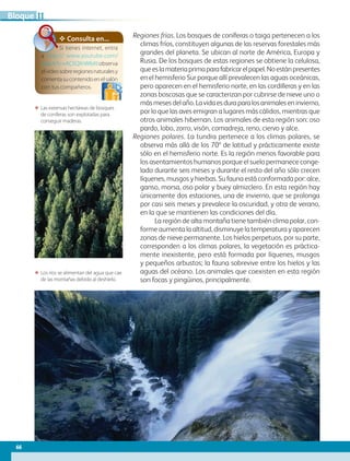 ΕΕ Las extensas hectáreas de bosques
de coníferas son explotadas para
conseguir maderas.
ΕΕ Los ríos se alimentan del agua que cae
de las montañas debido al deshielo.
✥ Consulta en...
Si tienes internet, entra
a http:// www.youtube.com/
watch?v =AC5QXrWIbKI observa
elvideosobreregionesnaturalesy
comentasucontenidoenelsalón
con tus compañeros.
Regiones frías. Los bosques de coníferas o taiga pertenecen a los
climas fríos, constituyen algunas de las reservas forestales más
grandes del planeta. Se ubican al norte de América, Europa y
Rusia. De los bosques de estas regiones se obtiene la celulosa,
queeslamateriaprimaparafabricarelpapel.Noestánpresentes
en el hemisferio Sur porque allí prevalecen las aguas oceánicas,
pero aparecen en el hemisferio norte, en las cordilleras y en las
zonas boscosas que se caracterizan por cubrirse de nieve uno o
másmesesdelaño.Lavidaesduraparalosanimaleseninvierno,
por lo que las aves emigran a lugares más cálidos, mientras que
otros animales hibernan. Los animales de esta región son: oso
pardo, lobo, zorro, visón, comadreja, reno, ciervo y alce.
Regiones polares. La tundra pertenece a los climas polares, se
observa más allá de los 70º de latitud y prácticamente existe
sólo en el hemisferio norte. Es la región menos favorable para
los asentamientos humanos porque el suelo permanece conge-
lado durante seis meses y durante el resto del año sólo crecen
líquenes, musgos y hierbas. Su fauna está conformada por: alce,
ganso, morsa, oso polar y buey almizclero. En esta región hay
únicamente dos estaciones, una de invierno, que se prolonga
por casi seis meses y prevalece la oscuridad, y otra de verano,
en la que se mantienen las condiciones del día.
	 La región de alta montaña tiene también clima polar, con-
forme aumenta la altitud, disminuye la temperatura y aparecen
zonas de nieve permanente. Los hielos perpetuos, por su parte,
corresponden a los climas polares, la vegetación es práctica-
mente inexistente, pero está formada por líquenes, musgos
y pequeños arbustos; la fauna sobrevive entre los hielos y las
aguas del océano. Los animales que coexisten en esta región
son focas y pingüinos, principalmente.
66
IIBloque
AB-GEO-5-P-038-073.indd 66 17/02/12 10:57
 
