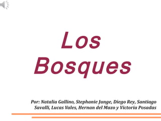 Los
Bosques
Por: Natalia Gallino, Stephanie Junge, Diego Rey, Santiago
Savalli, Lucas Vales, Hernan del Mazo y Victoria Posadas
 