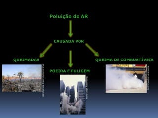 QUEIMADAS
  Abr(Agência Brasil)/Antonio Cruz
                                                                     CAUSADA POR




Abril/ Jorge Rosenberg
                                                                                   Poluição do AR




                         POEIRA E FULIGEM




        Abril/ Claudio Larangeira
                                            QUEIMA DE COMBUSTÍVEIS
 
