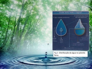 Fig.1- Distribuição da água no planeta
Terra.
 