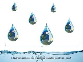 A água tem, portanto, uma importância ecológica, económica e social.
 
