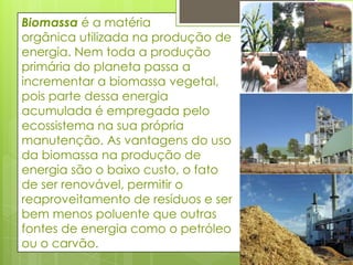 Biomassa é a matéria orgânica utilizada na produção de energia. Nem toda a produção primária do planeta passa a incrementar a biomassa vegetal, pois parte dessa energia acumulada é empregada pelo ecossistema na sua própria manutenção. As vantagens do uso da biomassa na produção de energia são o baixo custo, o fato de ser renovável, permitir o reaproveitamento de resíduos e ser bem menos poluente que outras fontes de energia como o petróleo ou o carvão. 