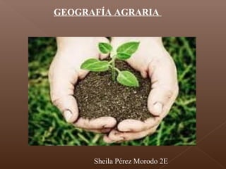 GEOGRAFÍA AGRARIA
Sheila Pérez Morodo 2E
 