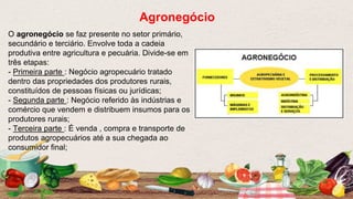 O agronegócio se faz presente no setor primário,
secundário e terciário. Envolve toda a cadeia
produtiva entre agricultura e pecuária. Divide-se em
três etapas:
- Primeira parte : Negócio agropecuário tratado
dentro das propriedades dos produtores rurais,
constituídos de pessoas físicas ou jurídicas;
- Segunda parte : Negócio referido às indústrias e
comércio que vendem e distribuem insumos para os
produtores rurais;
- Terceira parte : É venda , compra e transporte de
produtos agropecuários até a sua chegada ao
consumidor final;
Agronegócio
 