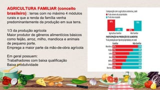 AGRICULTURA FAMILIAR (conceito
brasileiro) : terras com no máximo 4 módulos
rurais e que a renda da família venha
predominantemente da produção em sua terra.
1/3 da produção agrícola
Maior produtor de gêneros alimentícios básicos
como feijão, arroz, milho, mandioca e animais
de pequeno porte.
Emprega a maior parte da mão-de-obra agrícola
Em geral possuem:
Trabalhadores com baixa qualificação
Baixa produtividade
 