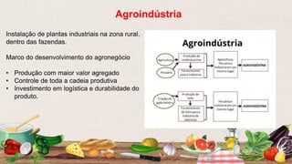 Instalação de plantas industriais na zona rural,
dentro das fazendas.
Marco do desenvolvimento do agronegócio
• Produção com maior valor agregado
• Controle de toda a cadeia produtiva
• Investimento em logística e durabilidade do
produto.
Agroindústria
 