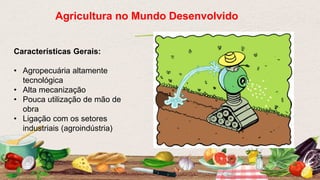Agricultura no Mundo Desenvolvido
Características Gerais:
• Agropecuária altamente
tecnológica
• Alta mecanização
• Pouca utilização de mão de
obra
• Ligação com os setores
industriais (agroindústria)
 
