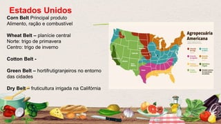 Corn Belt Principal produto
Alimento, ração e combustível
Wheat Belt – planície central
Norte: trigo de primavera
Centro: trigo de inverno
Cotton Belt -
Green Belt – hortifrutigranjeiros no entorno
das cidades
Dry Belt – fruticultura irrigada na Califórnia
Estados Unidos
 