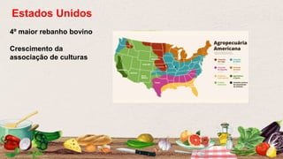 4º maior rebanho bovino
Crescimento da
associação de culturas
Estados Unidos
 
