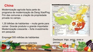 Modernização agrícola fazia parte do
programa de modernização de Deng XiaoPing
Fim das comunas e criação da propriedade
privada no campo.
1,35 bilhões de habitantes – muita gente para
comer. Grande produtor e grande importador
Modernização crescente – forte investimento
em pesquisa
Emprega 300 milhões de habitantes
Principal área: planícies orientais
Rios e solo favoráveis (loess)
China
Destaque: trigo, arroz, aves e
porcos
 