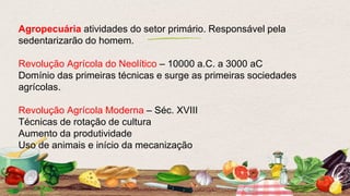 Agropecuária atividades do setor primário. Responsável pela
sedentarizarão do homem.
Revolução Agrícola do Neolítico – 10000 a.C. a 3000 aC
Domínio das primeiras técnicas e surge as primeiras sociedades
agrícolas.
Revolução Agrícola Moderna – Séc. XVIII
Técnicas de rotação de cultura
Aumento da produtividade
Uso de animais e início da mecanização
 