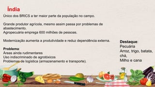 Único dos BRICS a ter maior parte da população no campo.
Grande produtor agrícola, mesmo assim passa por problemas de
abastecimento.
Agropecuária emprega 600 milhões de pessoas.
Modernização aumenta a produtividade e reduz dependência externa.
Problema:
Áreas ainda rudimentares
Uso indiscriminado de agrotóxicos
Problemas de logística (armazenamento e transporte).
Índia
Destaque:
Pecuária
Arroz, trigo, batata,
chá,
Milho e cana
 