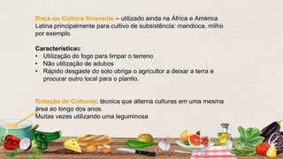 Roça ou Cultura Itinerante – utilizado ainda na África e América
Latina principalmente para cultivo de subsistência: mandioca, milho
por exemplo.
Características:
• Utilização do fogo para limpar o terreno
• Não utilização de adubos
• Rápido desgaste do solo obriga o agricultor a deixar a terra e
procurar outro local para o plantio.
Rotação de Culturas: técnica que alterna culturas em uma mesma
área ao longo dos anos.
Muitas vezes utilizando uma leguminosa
 
