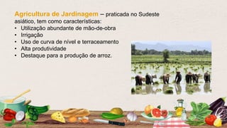 Agricultura de Jardinagem – praticada no Sudeste
asiático, tem como características:
• Utilização abundante de mão-de-obra
• Irrigação
• Uso de curva de nível e terraceamento
• Alta produtividade
• Destaque para a produção de arroz.
 