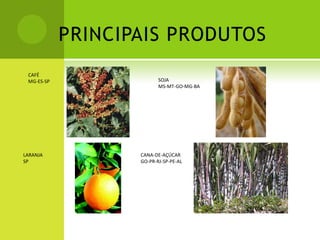 PRINCIPAIS PRODUTOS
CAFÉ
MG-ES-SP SOJA
MS-MT-GO-MG-BA
LARANJA
SP
CANA-DE-AÇÚCAR
GO-PR-RJ-SP-PE-AL
 
