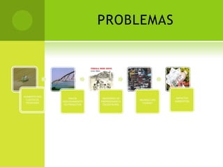PROBLEMAS
AUMENTO DOS
CUSTOS DE
PRODUÇÃO
MAIOR
ENDIVIDAMENTO
DO PRODUTOR
ABANDONO DE
PROPRIEDADES E
ÊXODO RURAL
INCHAÇO DAS
CIDADES
IMPACTOS
AMBIENTAIS
 
