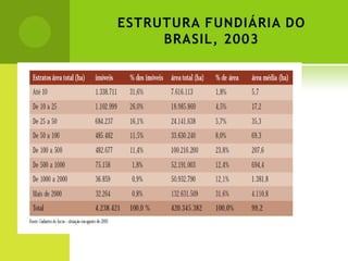 ESTRUTURA FUNDIÁRIA DO
BRASIL, 2003
 