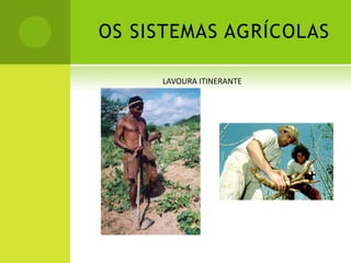OS SISTEMAS AGRÍCOLAS
LAVOURA ITINERANTE
 
