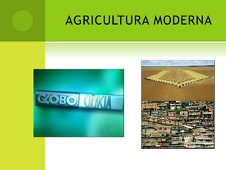 AGRICULTURA MODERNA
 