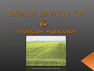 SSiisstteemmaass ddee PPrroodduuççããoo 
&& 
PPrrááttiiccaass AAggrrííccoollaass 
Retirada do site: http://pt.wikipedia.org/wiki/Agricultura 
 