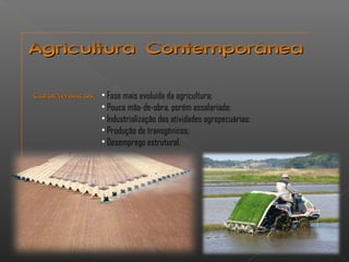 AAggrriiccuullttuurraa CCoonntteemmppoorrâânneeaa 
CCaarraacctteerrííssttiiccaass:: • Fase mais evoluída da agricultura; 
• Pouca mão-de-obra, porém assalariada; 
• Industrialização das atividades agropecuárias; 
• Produção de transgênicos; 
• Desemprego estrutural. 
 