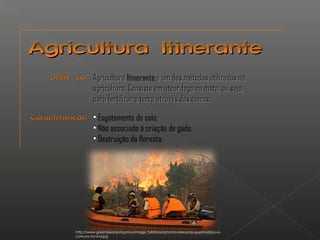 AAggrriiccuullttuurraa IIttiinneerraannttee 
AAggrriiccuullttuurraa Itinerante éé uumm ddooss mmééttooddooss uuttiilliizzaaddooss nnaa 
aaggrriiccuullttuurraa.. CCoonnssiissttee eemm aatteeaarr ffooggoo nnaa mmaattaa,, oouu sseejjaa,, 
ppaarraa ffeerrttiilliizzaarr aa tteerrrraa aattrraavvééss ddaass cciinnzzaass.. 
CCaarraacctteerrííssttiiccaass:: • Esgotamento do solo; 
• Não associado à criação de gado; 
• Destruição da floresta. 
DDeeffiinniiççããoo:: 
http://www.greenpeace.org/raw/image_full/brasil/photosvideos/as-queimadas-s-o-comuns- 
na-ind.jpg 
 