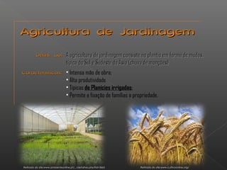 AAggrriiccuullttuurraa ddee JJaarrddiinnaaggeemm 
DDeeffiinniiççããoo:: AA aaggrriiccuullttuurraa ddee jjaarrddiinnaaggeemm ccoonnssiissttee nnoo ppllaannttiioo eemm ffoorrmmaa ddee mmuuddaass,, 
ttííppiiccaa ddoo SSuull ee SSuuddeessttee ddaa ÁÁssiiaa ((cchhuuvvaa ddee mmoonnççõõeess)) 
CCaarraacctteerrííssttiiccaass:: • Intensa mão de obra; 
• Alta produtividade 
• Típicas de Planícies irrigadas; 
• Permite a fixação de famílias a propriedade. 
Retirada do site:www.ambienteonline.pt/.../detalhes.php?id=3665 Retirada do site:www.cultivoonline.org/ 
 