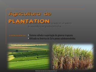AAggrriiccuullttuurraa ddee 
PPLLAANNTTAATTIIOONN DDeeffiinniiççããoo:: AA aaggrriiccuullttuurraa ddee ppllaannttaattiioonn ccoonnssiissttee eemm uumm ssiisstteemmaa 
ddee mmoonnooccuullttuurraa eemm ggrraannddeess llaattiiffúúnnddiiooss.. 
CCaarraacctteerrííssttiiccaass:: • Sistema voltado à exportação de gêneros tropicais; 
• Utilizado na América do Sul e países subdesenvolvidos. 
Retiradas do site:www.ambienteonline.pt 
 