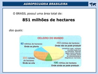 AAGGRROOPPEECCUUÁÁRRIIAA BBRRAASSIILLEEIIRRAA  
O BRASIL possuí uma área total de: 
885511 mmiillhhõõeess ddee hheeccttaarreess 
dos quais: 
 