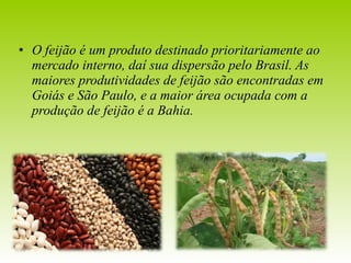 • O feijão é um produto destinado prioritariamente ao 
mercado interno, daí sua dispersão pelo Brasil. As 
maiores produtividades de feijão são encontradas em 
Goiás e São Paulo, e a maior área ocupada com a 
produção de feijão é a Bahia. 
 