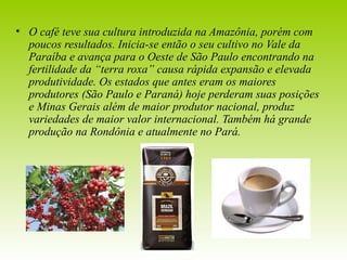 • O café teve sua cultura introduzida na Amazônia, porém com 
poucos resultados. Inicia-se então o seu cultivo no Vale da 
Paraíba e avança para o Oeste de São Paulo encontrando na 
fertilidade da “terra roxa” causa rápida expansão e elevada 
produtividade. Os estados que antes eram os maiores 
produtores (São Paulo e Paraná) hoje perderam suas posições 
e Minas Gerais além de maior produtor nacional, produz 
variedades de maior valor internacional. Também há grande 
produção na Rondônia e atualmente no Pará. 
 