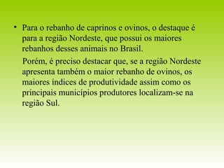 • Para o rebanho de caprinos e ovinos, o destaque é 
para a região Nordeste, que possui os maiores 
rebanhos desses animais no Brasil. 
Porém, é preciso destacar que, se a região Nordeste 
apresenta também o maior rebanho de ovinos, os 
maiores índices de produtividade assim como os 
principais municípios produtores localizam-se na 
região Sul. 
 