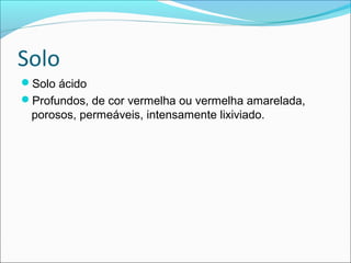 Solo
Solo ácido
Profundos, de cor vermelha ou vermelha amarelada,
porosos, permeáveis, intensamente lixiviado.
 