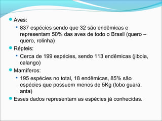 Aves:
 837 espécies sendo que 32 são endêmicas e
representam 50% das aves de todo o Brasil (quero –
quero, rolinha)
Répteis:
 Cerca de 199 espécies, sendo 113 endêmicas (jiboia,
calango)
Mamíferos:
 195 espécies no total, 18 endêmicas, 85% são
espécies que possuem menos de 5Kg (lobo guará,
anta)
Esses dados representam as espécies já conhecidas.
 